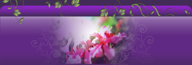 Header Graphic